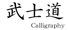 Calligraphy Font